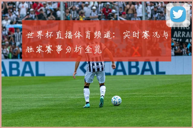 世界杯直播体育频道:实时赛况与独家赛事分析全览