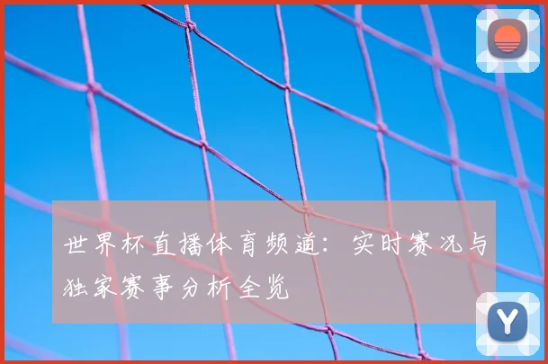 世界杯直播体育频道:实时赛况与独家赛事分析全览