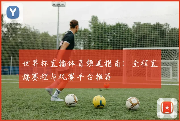 世界杯直播体育频道指南：全程直播赛程与观赛平台推荐